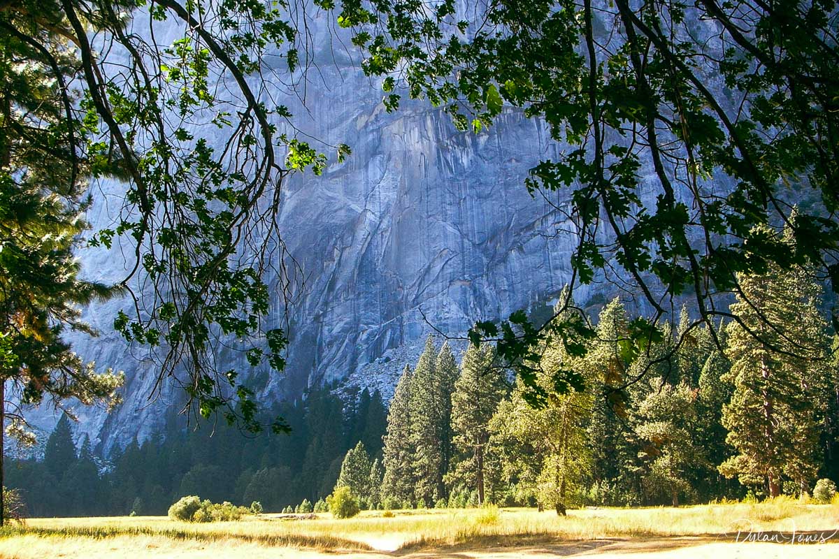 Granite cliff backdrops in Yosemite Valley