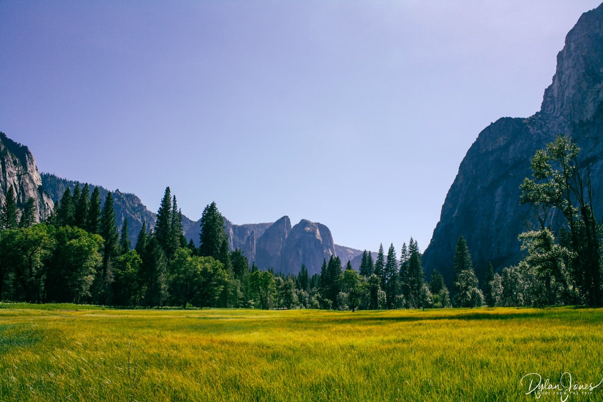 Stunning meadow views in Yosemite Valley