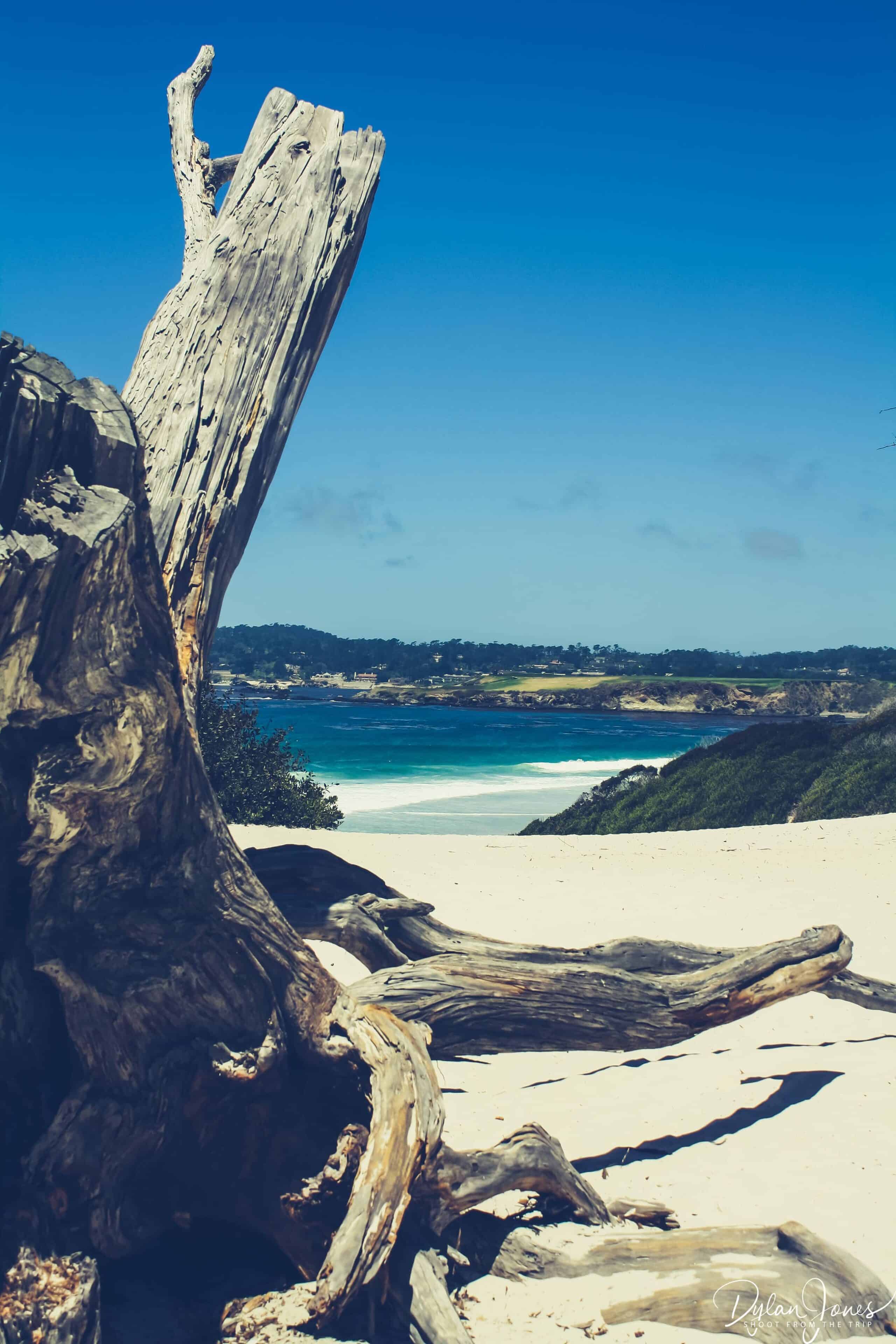 Carmel (4)