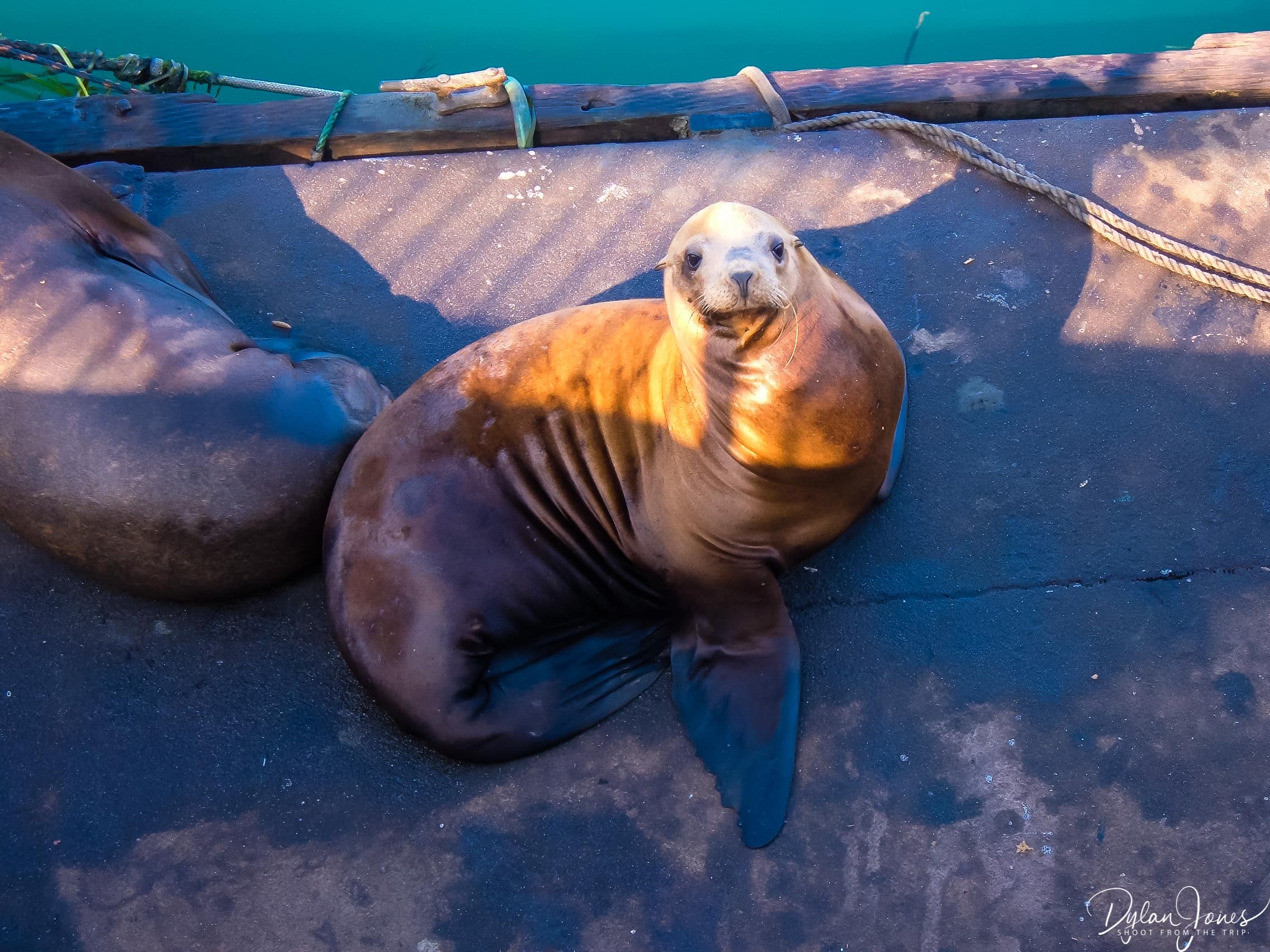 Morro Bay (10)
