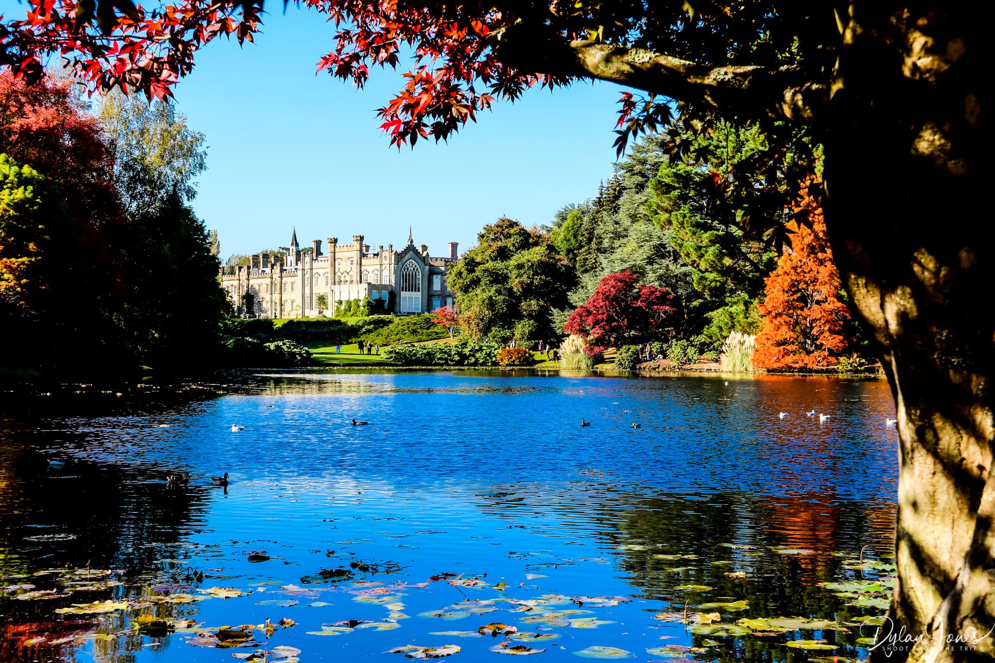 Sheffield Park House across Ten Foot Pond