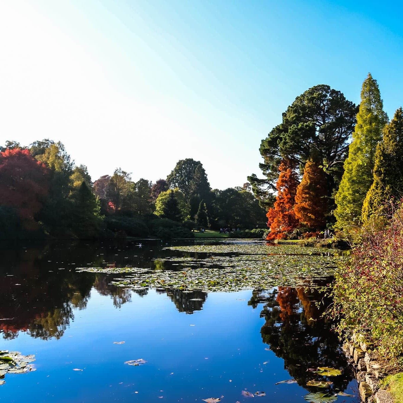 Sheffield Park and Garden Ten Foot Pond refelections