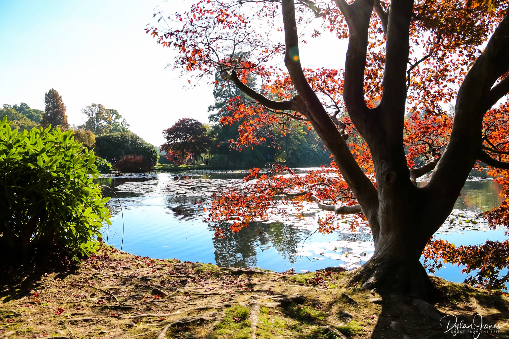 Sheffield Park and Garden Middle Lake