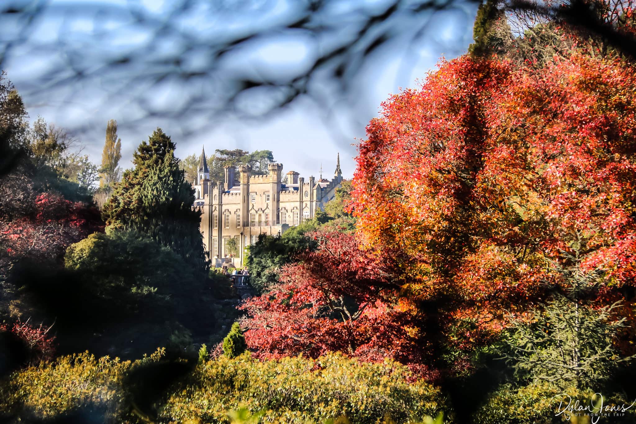 Sheffield Park House from Queen's Walk