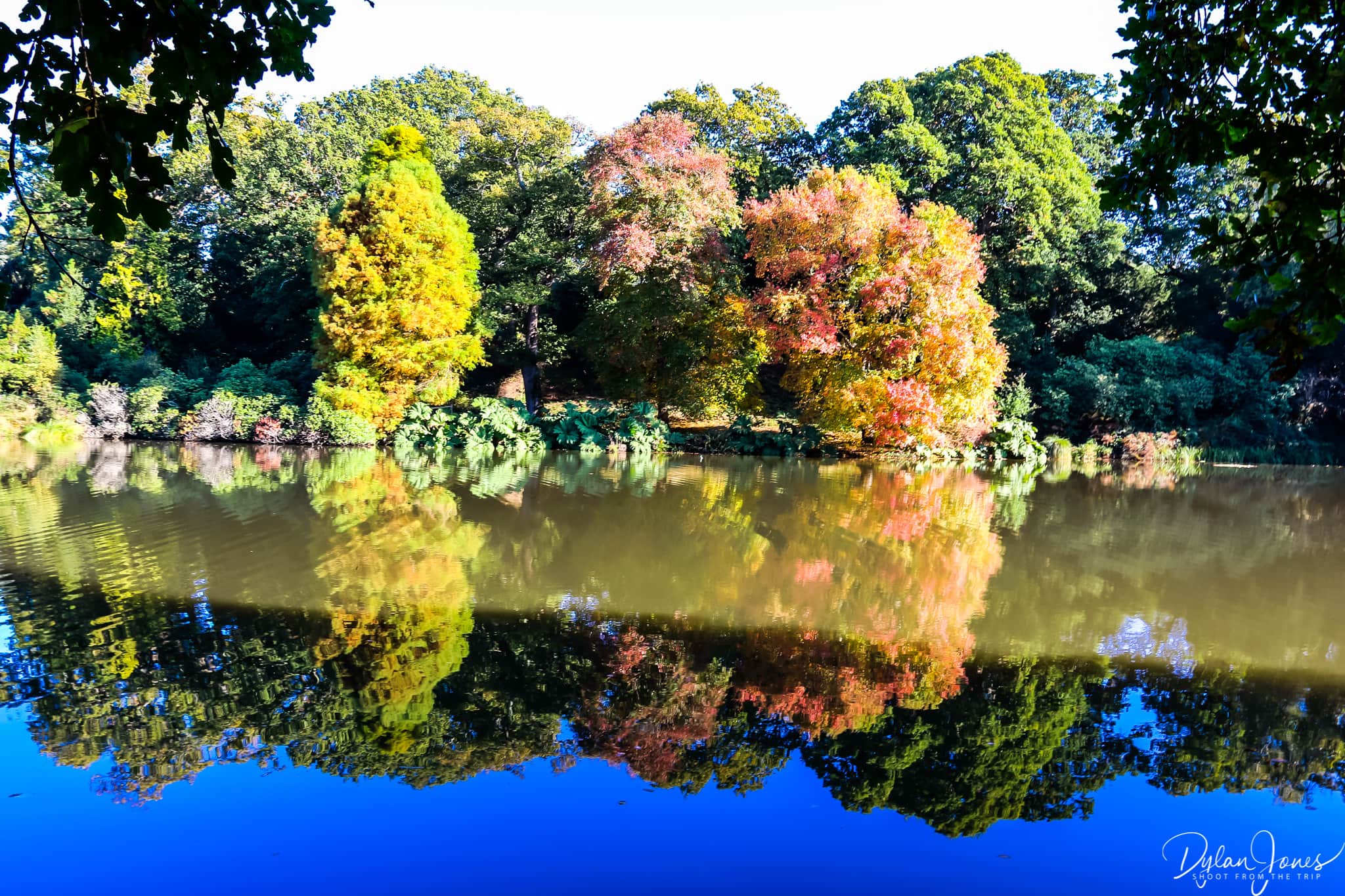 Sheffield Park and Garden reflections on Lower Woman's Way Pond
