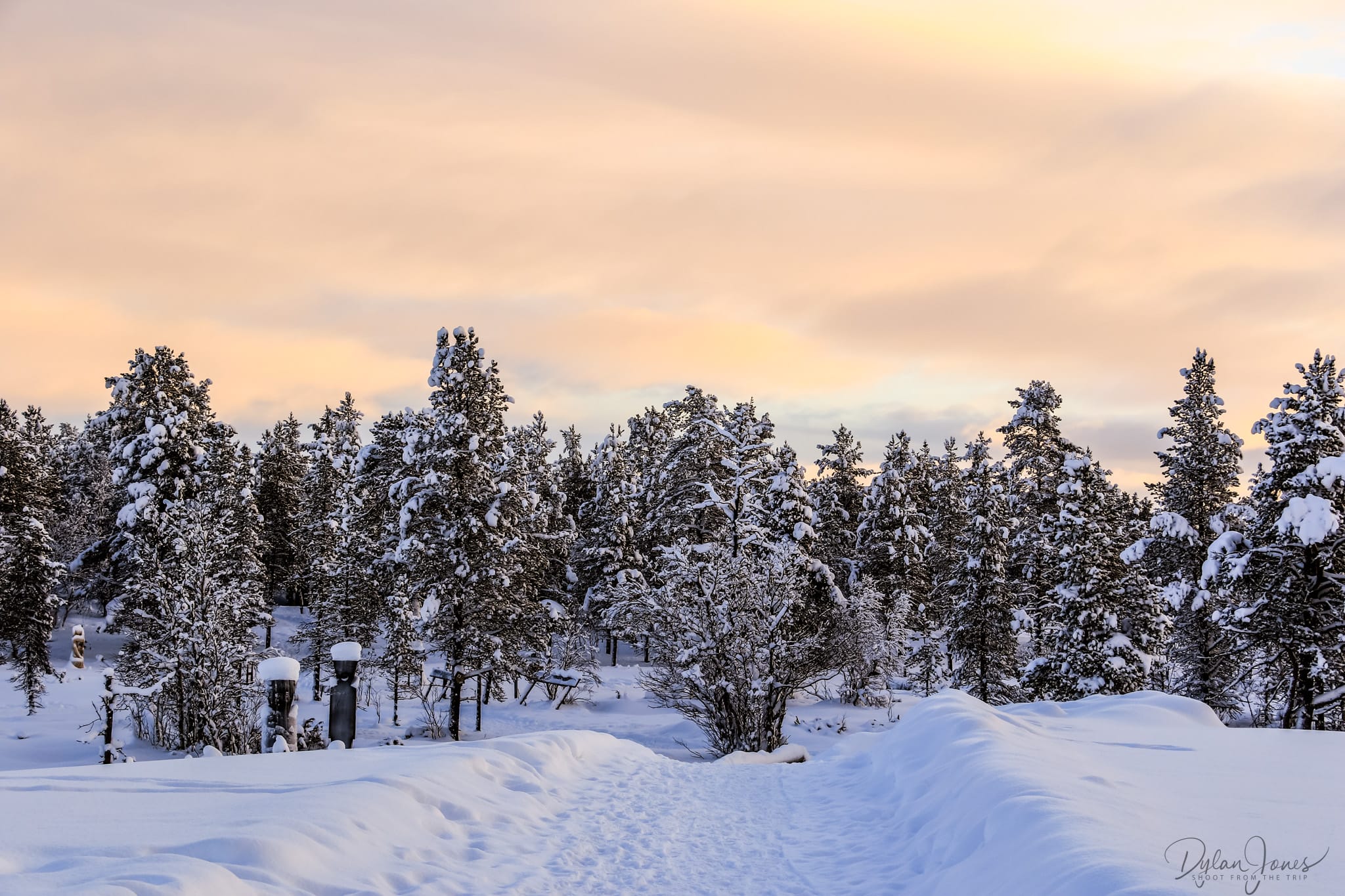 The pathway from the Igloo Village at Kakslauttanen East Village