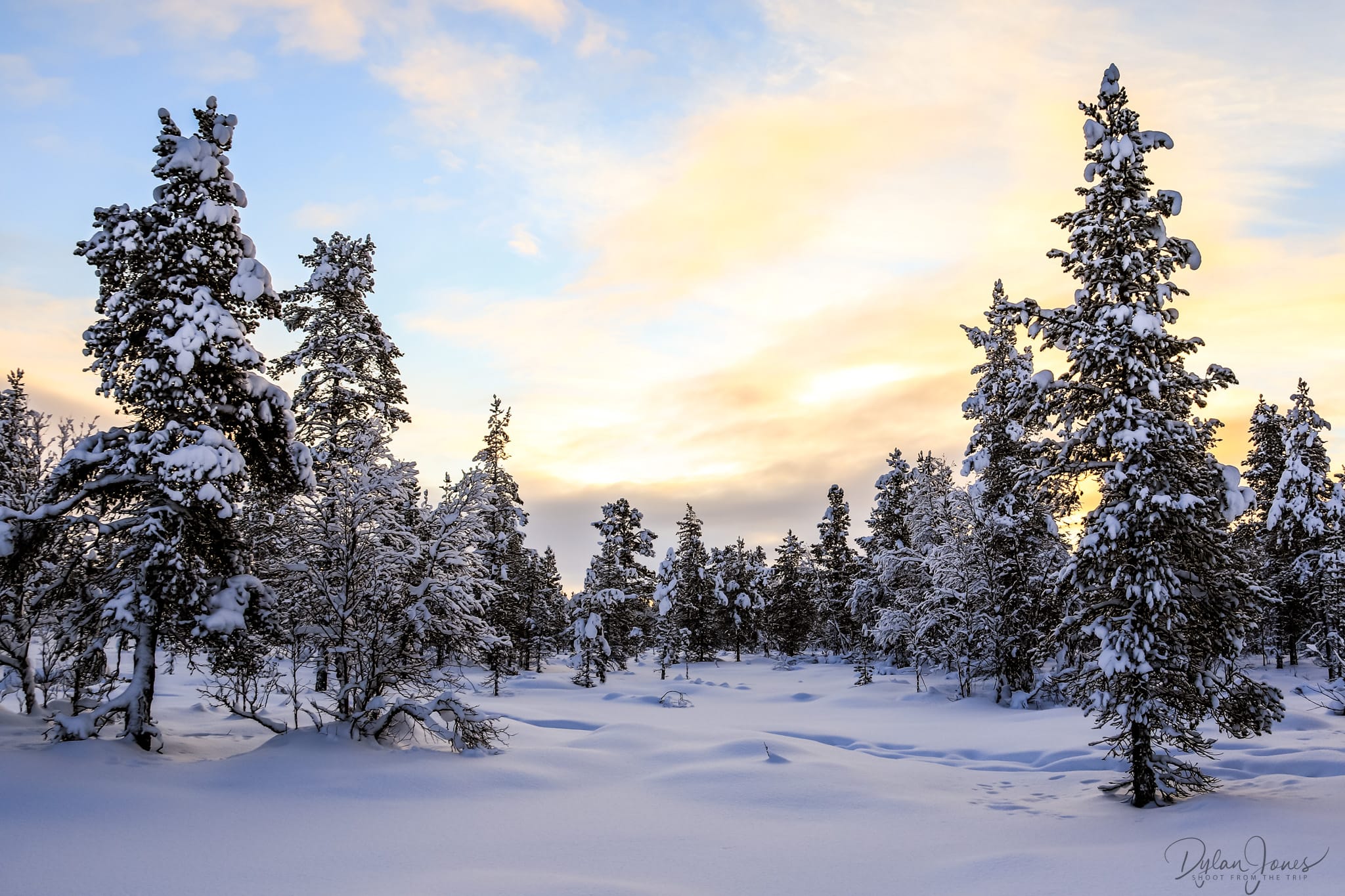 Fresh untouched snow at sunrise at Kakslauttanen East Village