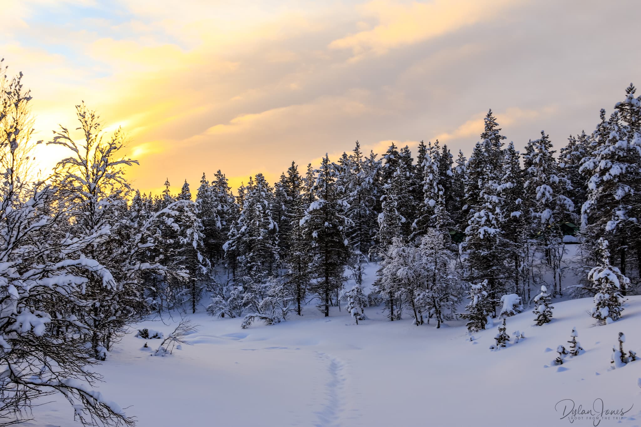 The frozen river and forest at sunrise at Kakslauttanen East Village