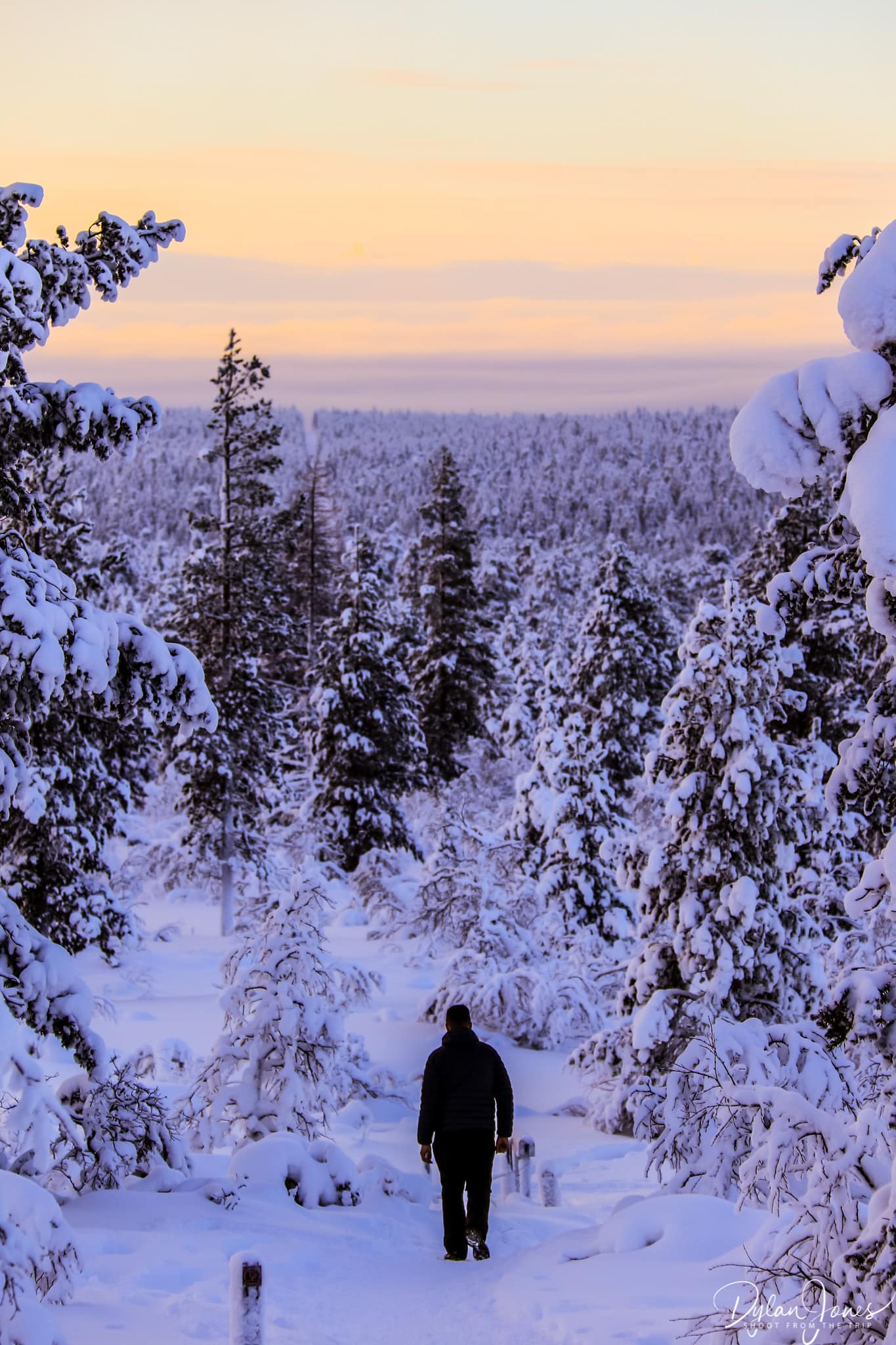 Walking back down from the Ahopää Fell, Saariselkä Lapland