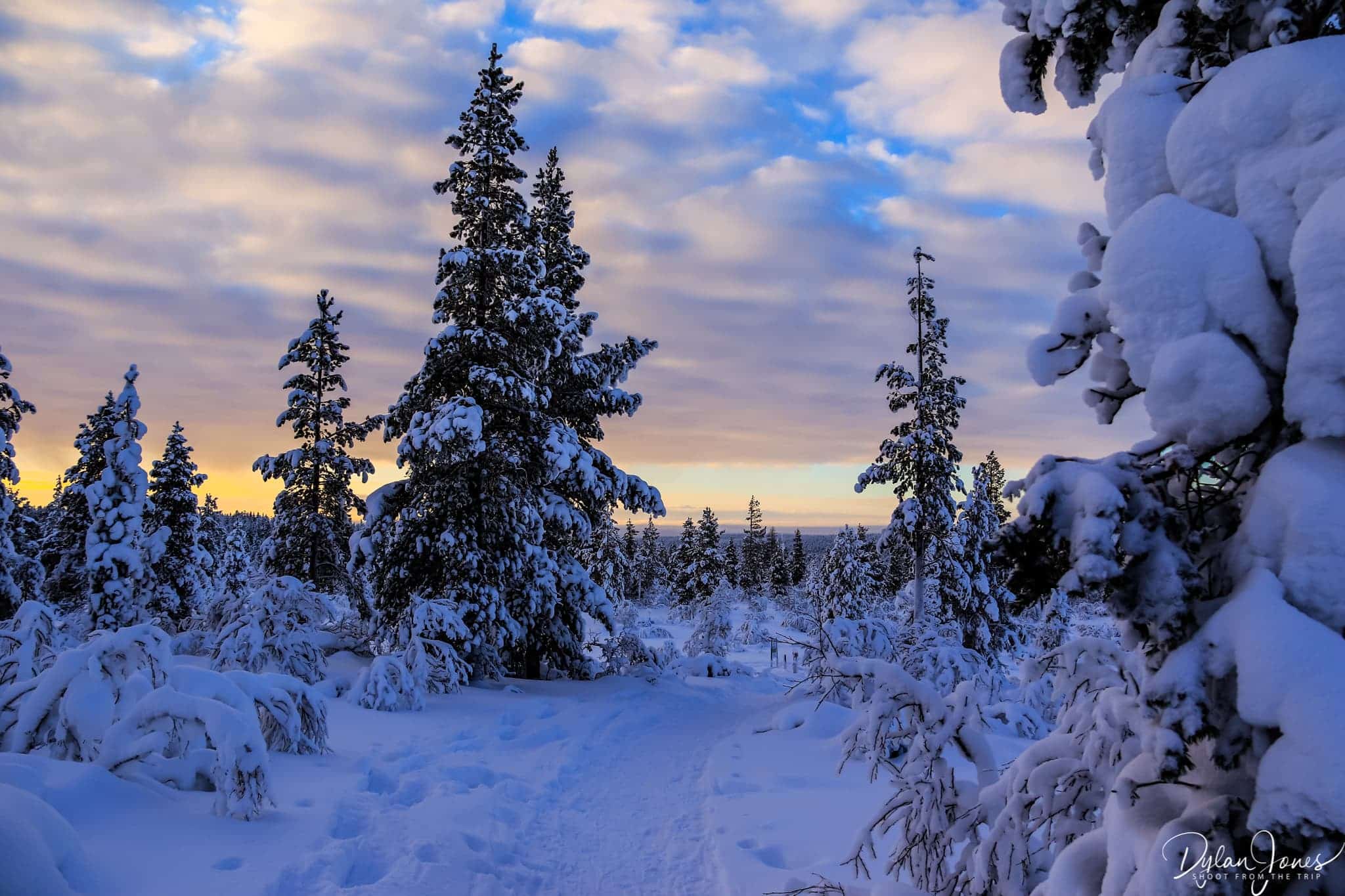 The hiking trail snaking around the trees at the Kiilopää Fell, Saariselkä Lapland