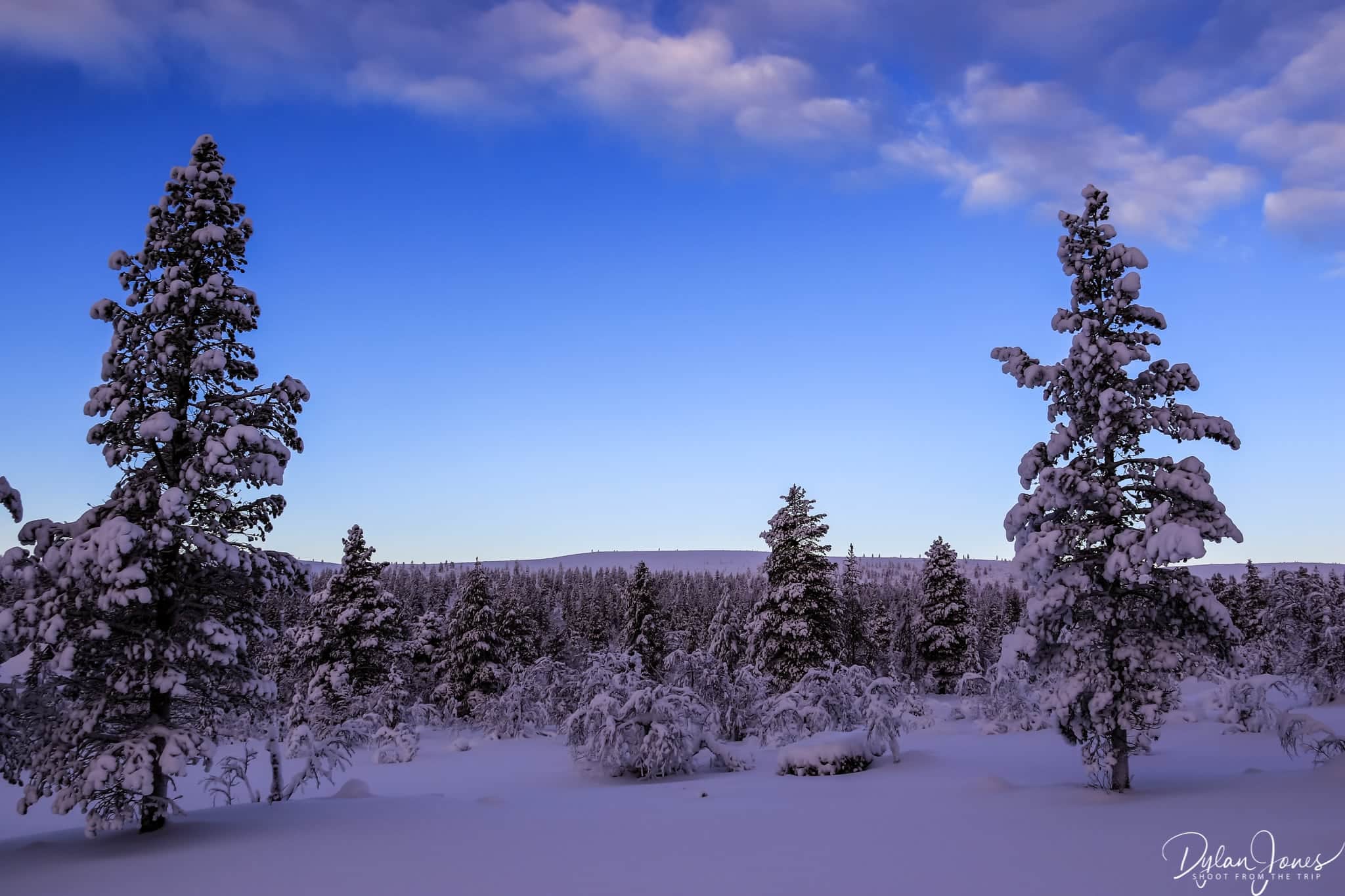 Views from the gentle hiking trails of Kiilopää, Saariselkä Lapland