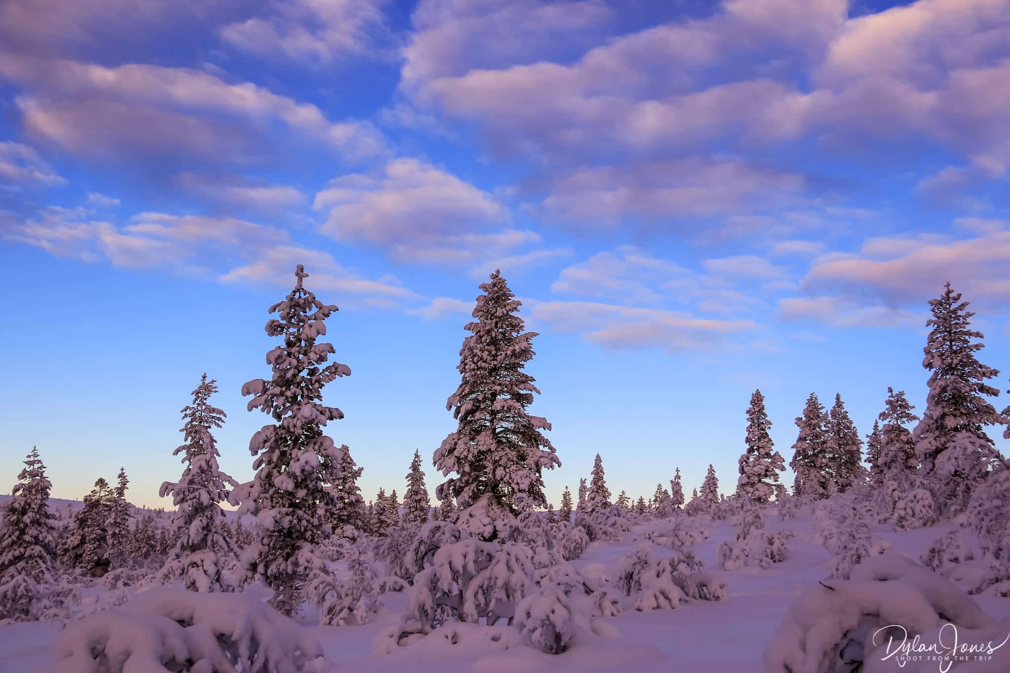 Postcard scenes from the gentle hiking trails of Kiilopää, Saariselkä Lapland