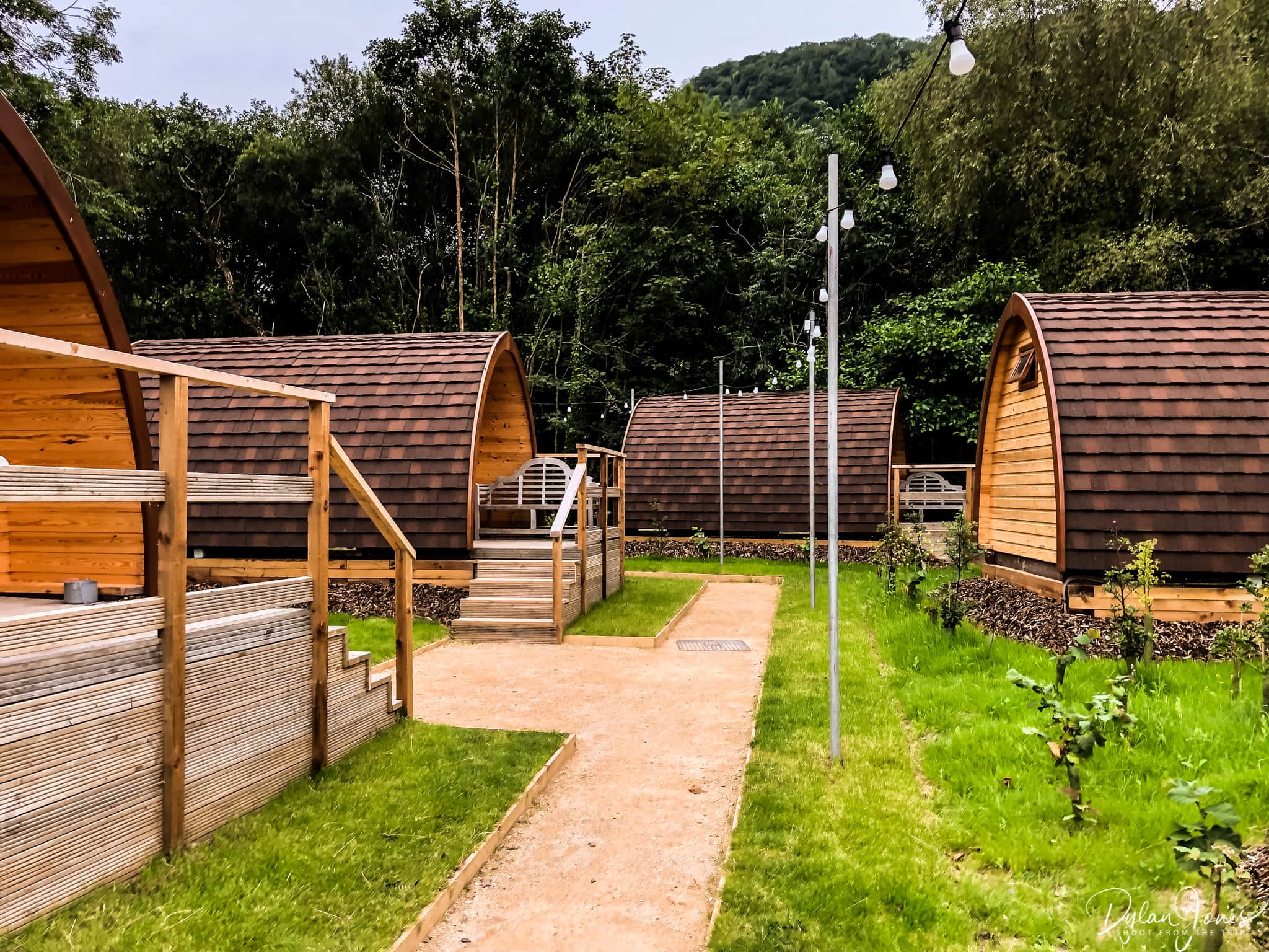 Glamping pods in the woodland
