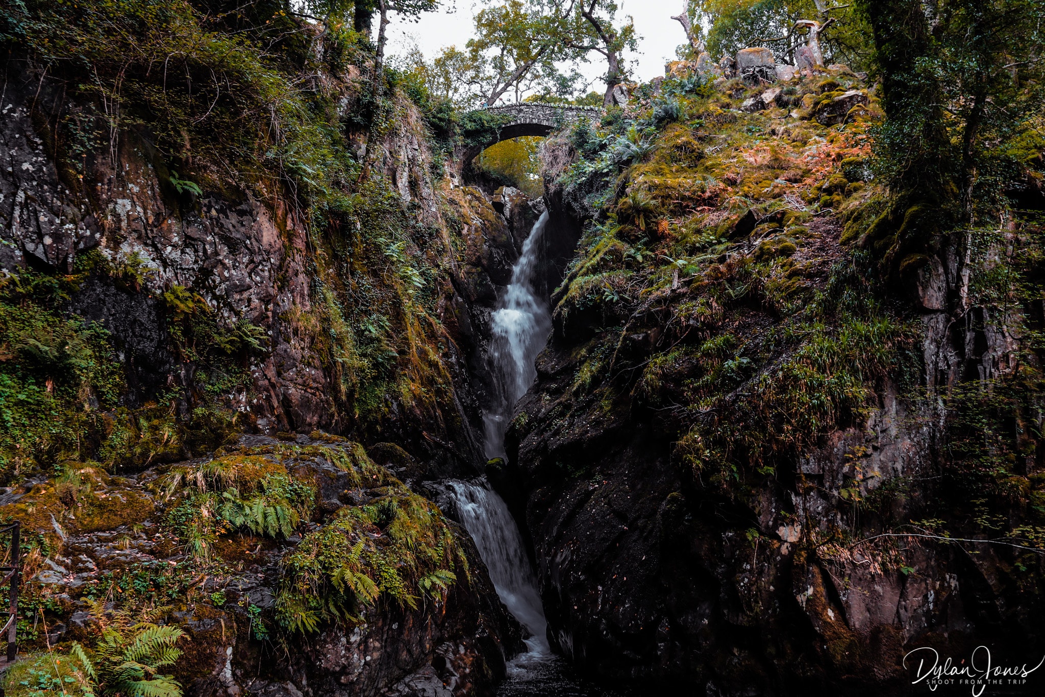 Aira Force