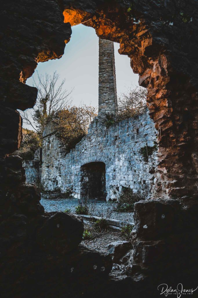 Llys Euryn