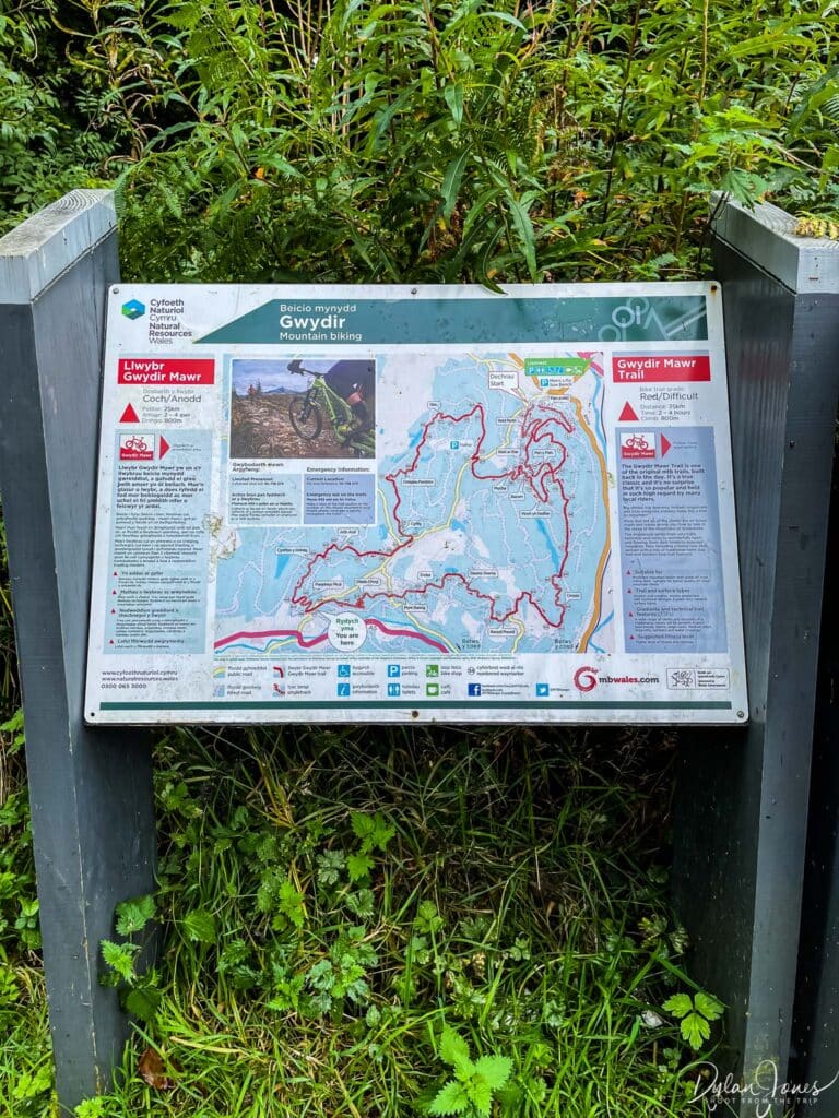 Gwydir Forest Mountain Bike Trails