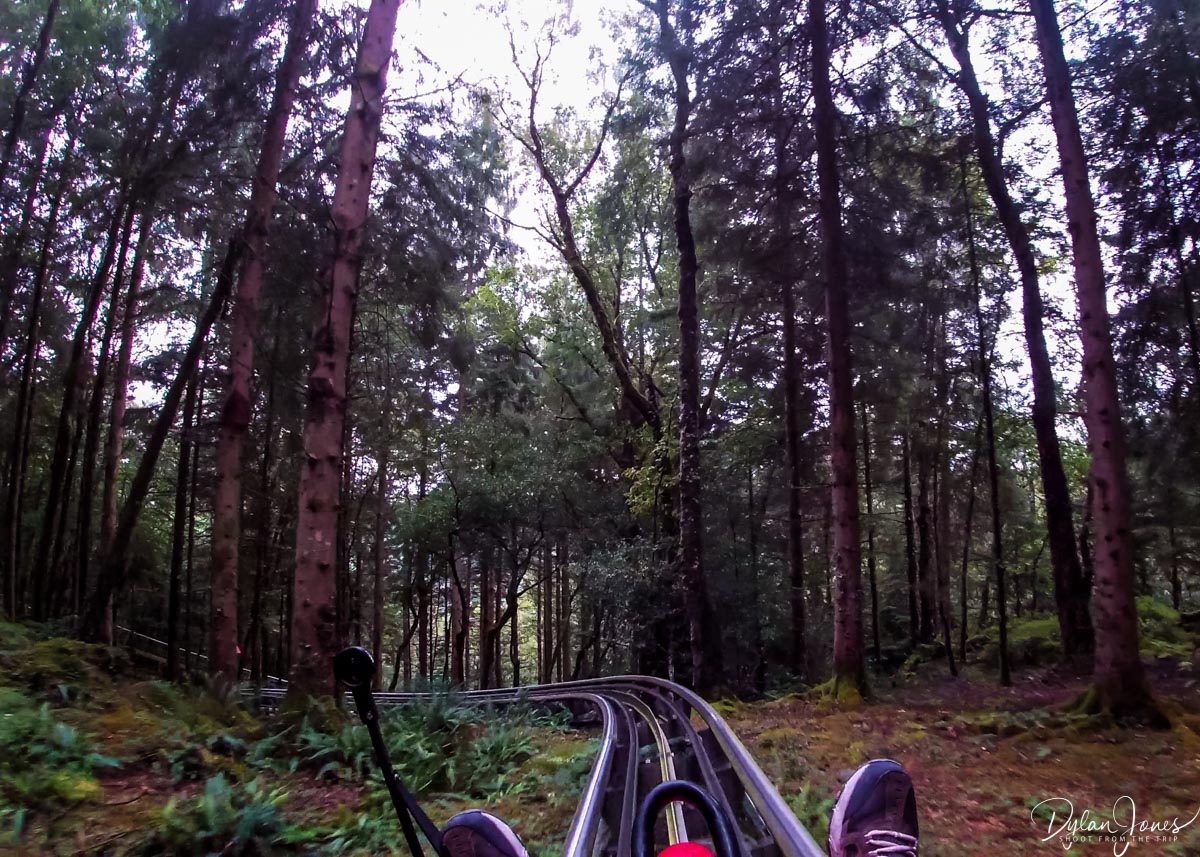 On-ride view from the Fforest Coaster at Zip World Fforest, captured on GoPro