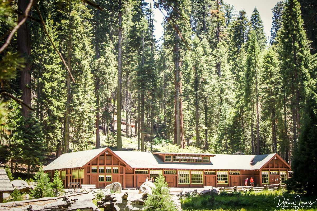 Giant Forest Museum in Sequoia National Park