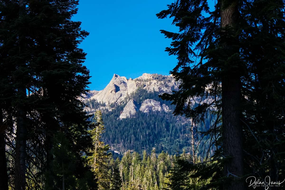 Views of Sequoia National Park