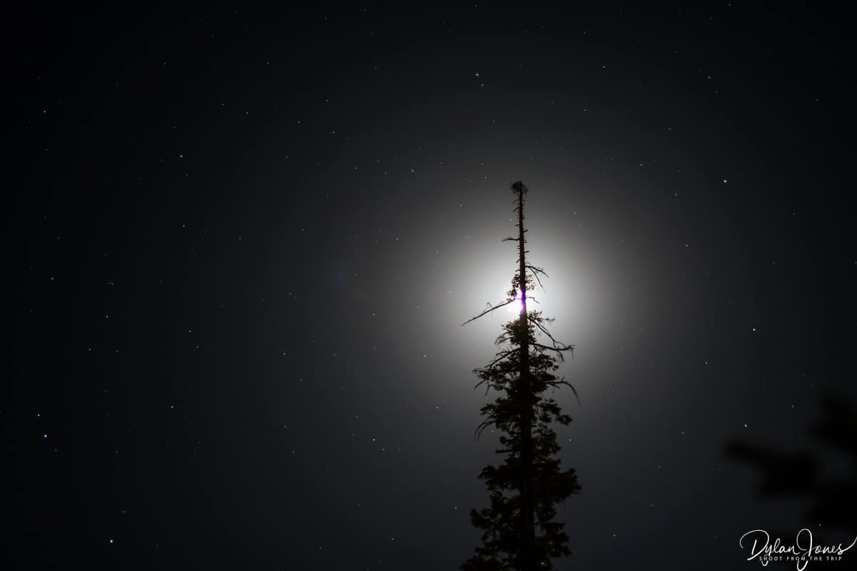 Night skies of Sequoia National Park