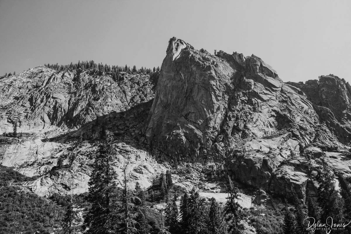 Tokopah Falls Trail scenery