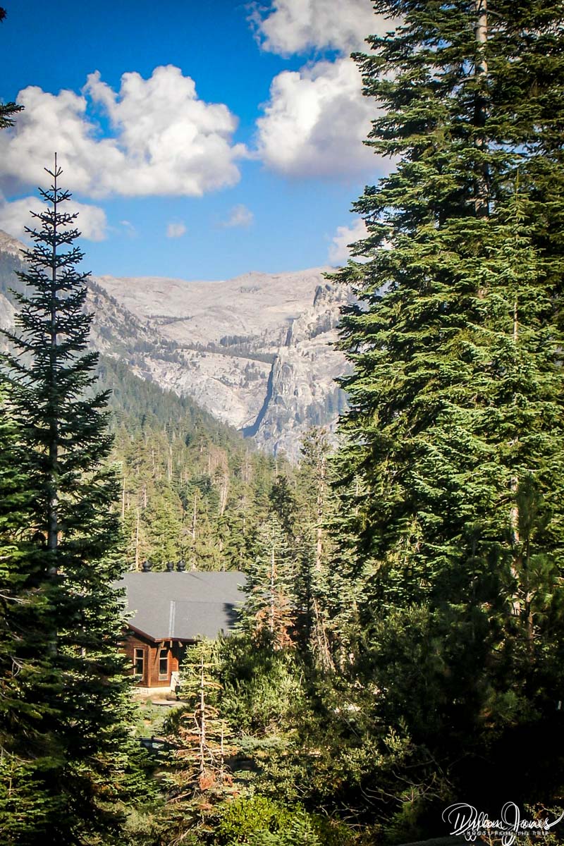 Wuksachi Lodge and Kings Canyon