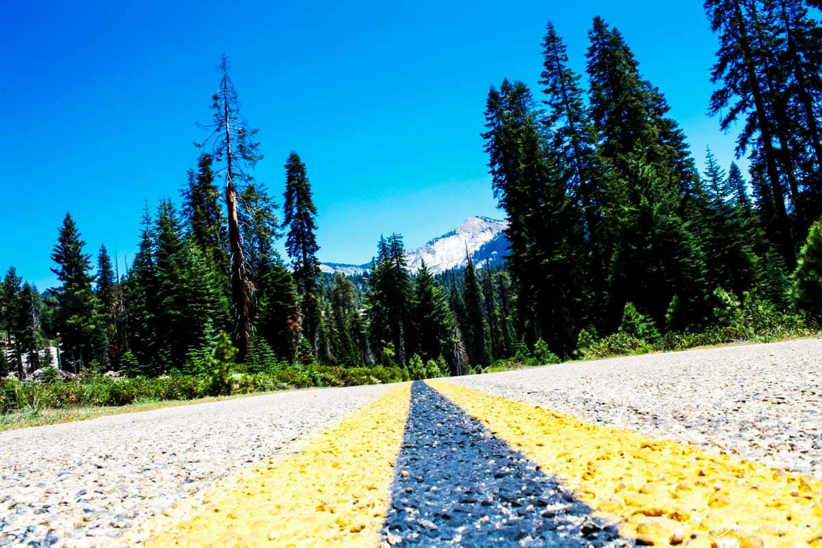 Sequoia National Park - a perfect additional to a California Road Trip