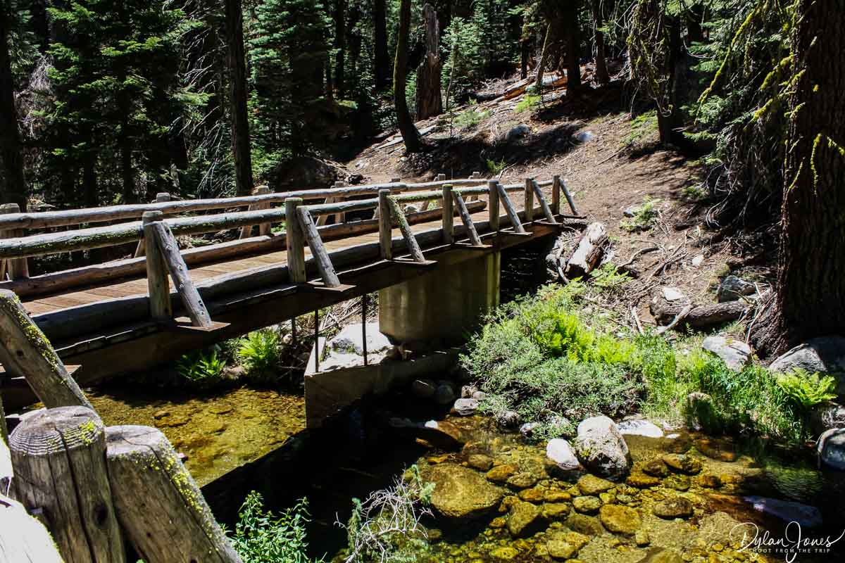 Wuksachi Trail scenery
