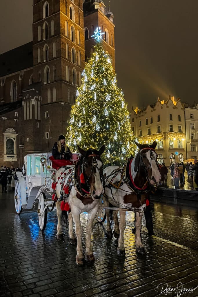 A horse and carriage in Krakow's main square
