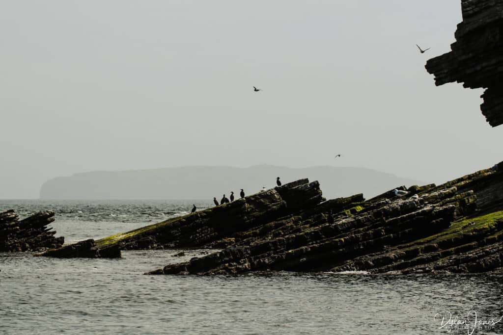 Cormorants on the rocks