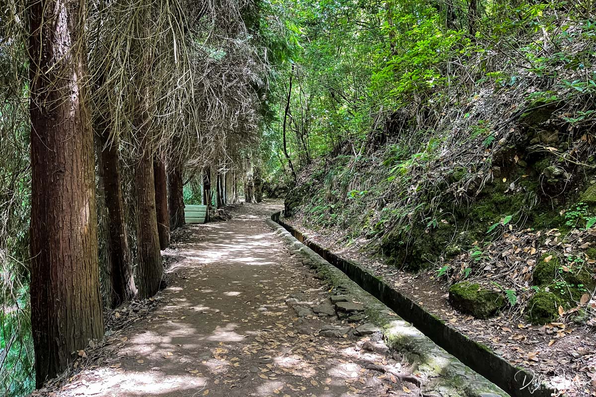 Walking trail alongside the levada