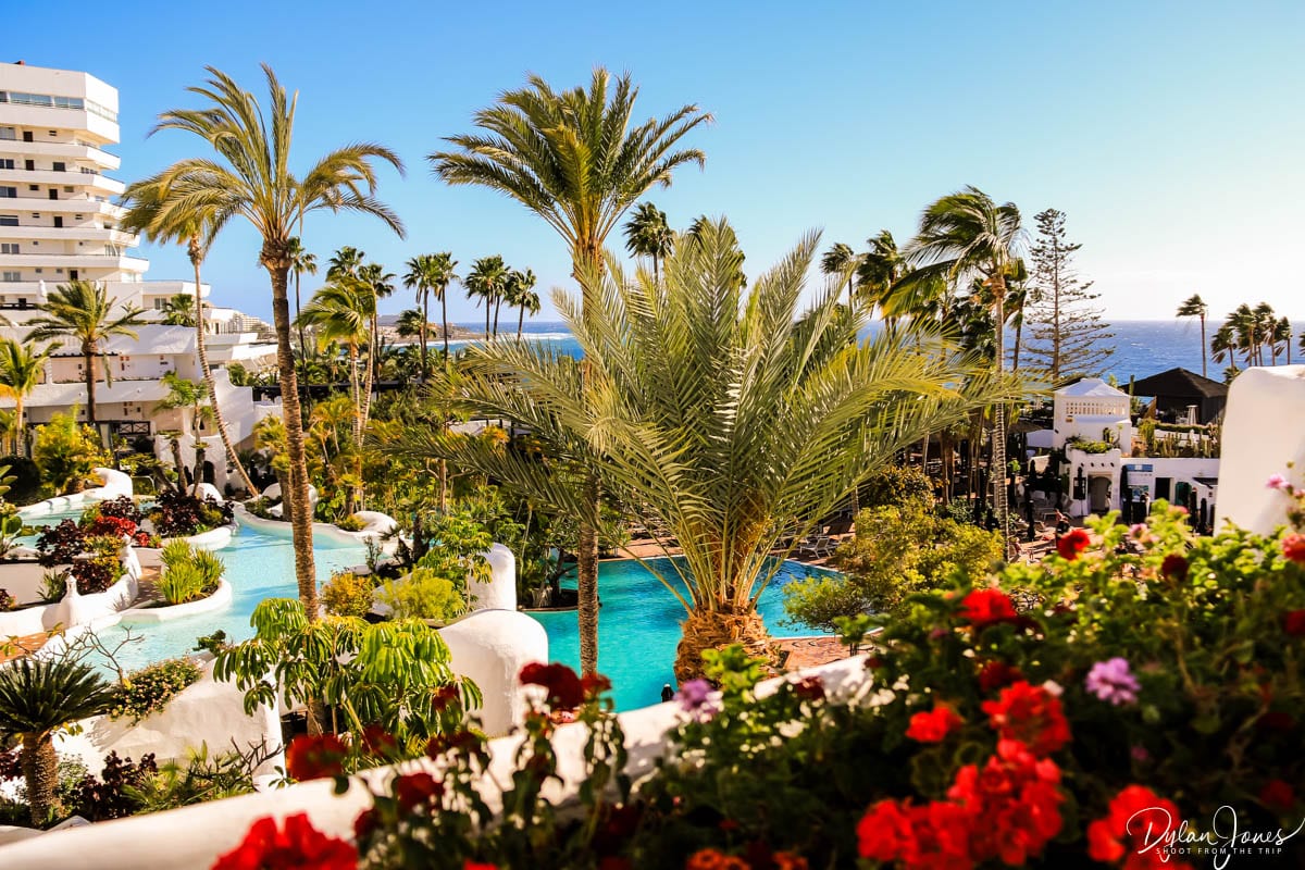 Stunning landscaping at the Dreams Jardin Tropical Resort & Spa, Tenerife