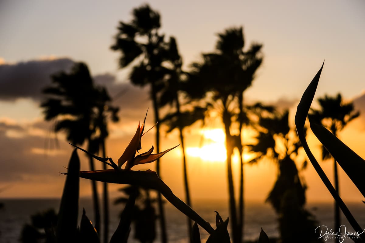 Stunning sunset scenes