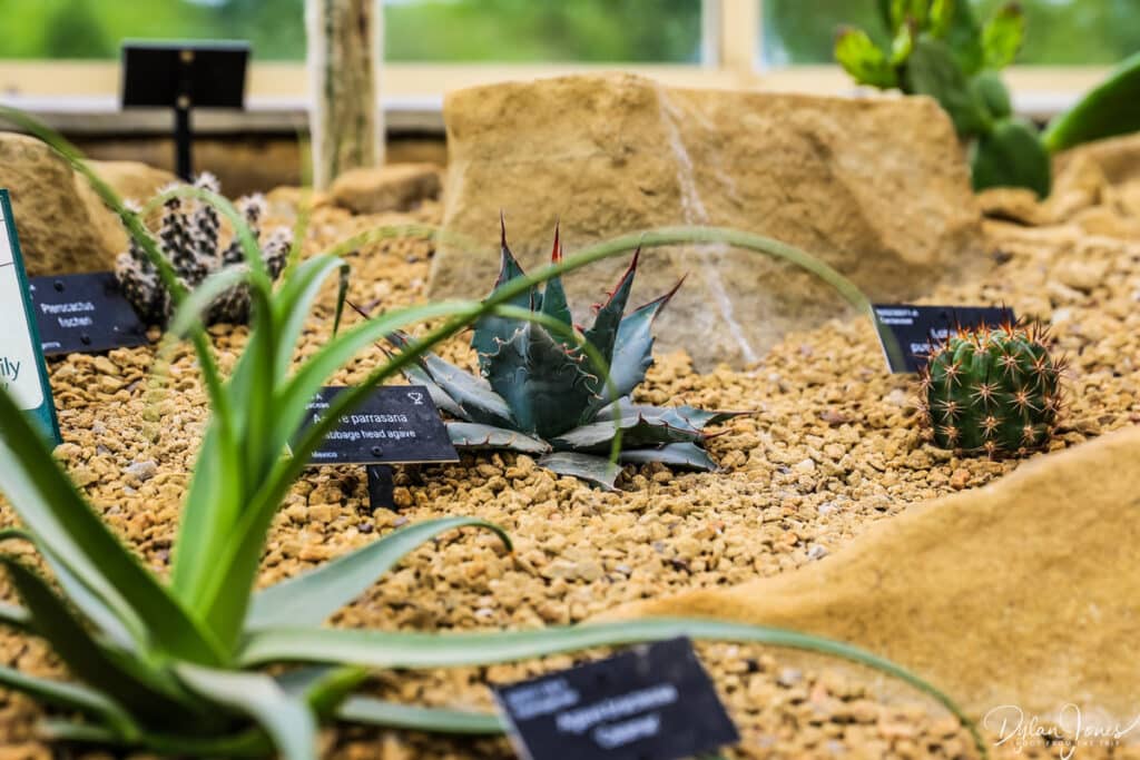Alpine House