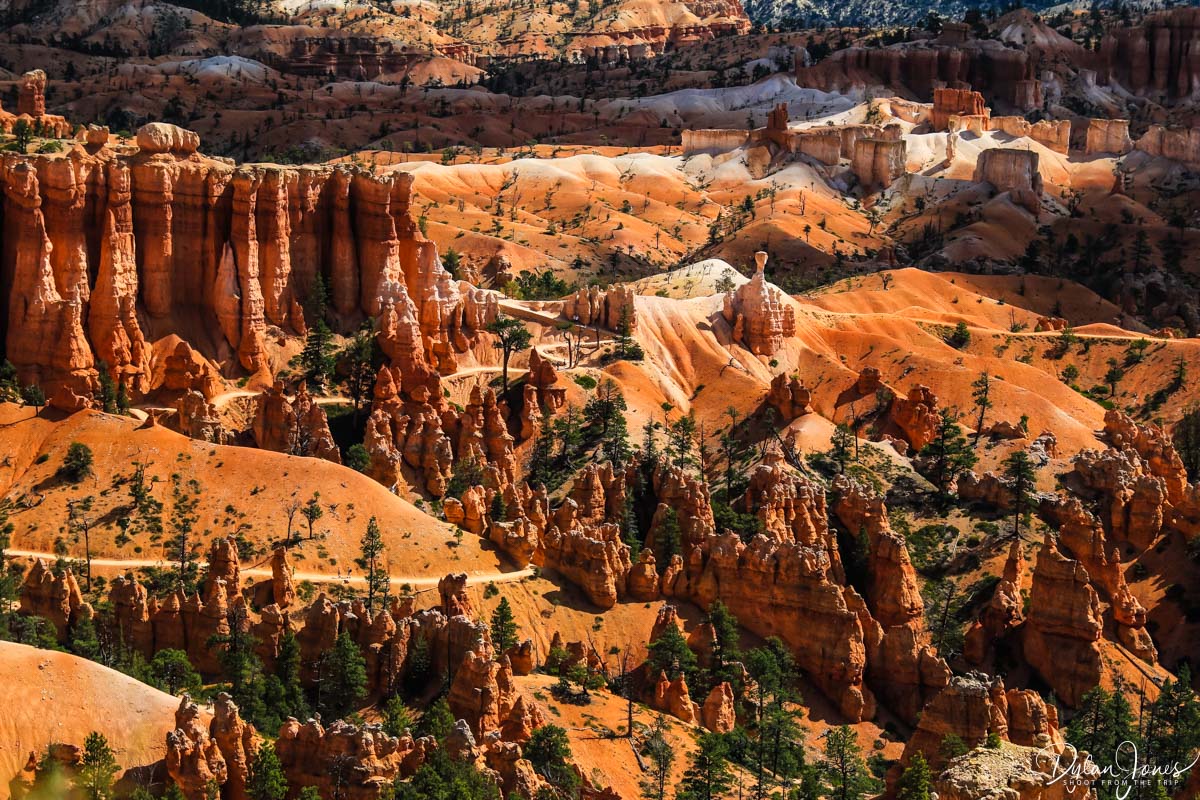 Overview of Queen's Garden Trail in Bryce Canyon