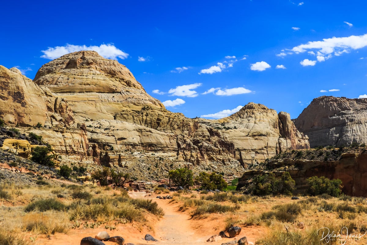 Capitol Reef National Park scenery on a Southern Utah road trip