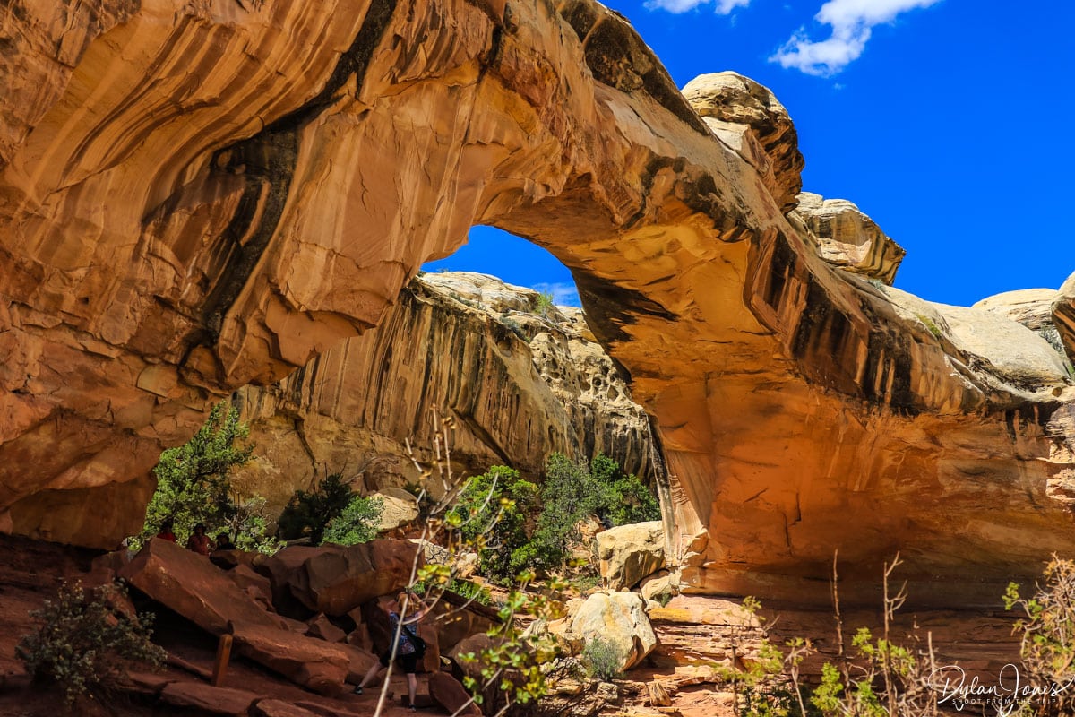 Hickman Natural Bridge