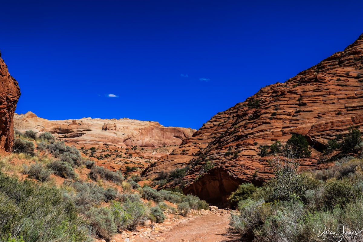 Wire Pass Trail scenery