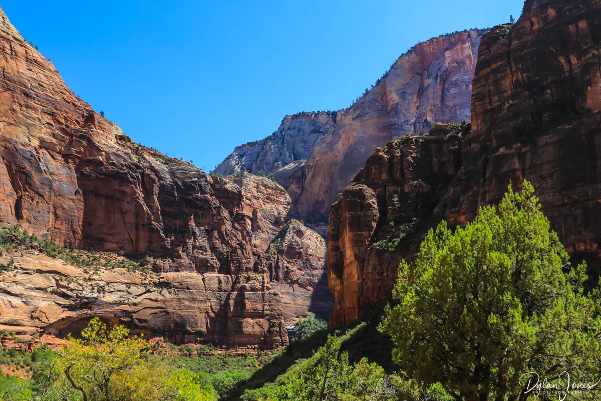 The incredible landscapes of Zion Canyon