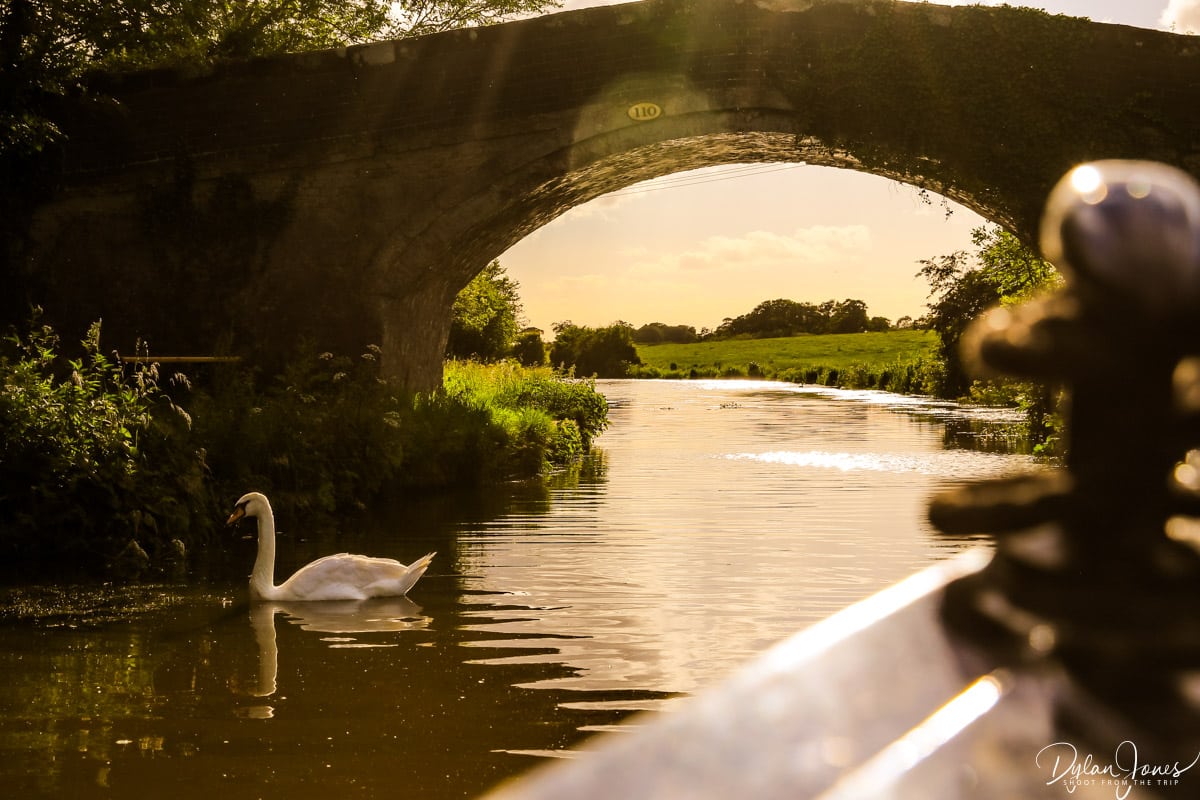 Wide and peaceful sections of the Shropshire Union Canal